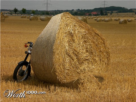 Photoshop Design by knusprig