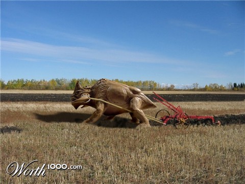 Photoshop Design by websorcerer