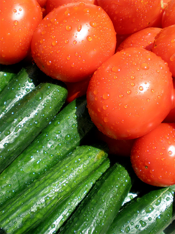 Photography by amirbse for DesignCrowd (Community Contests) | Design #8972885