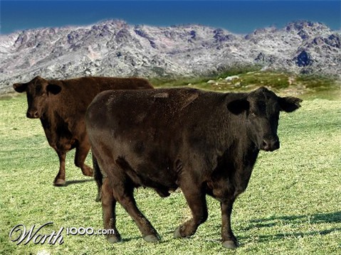 Photoshop Design by iva76gr