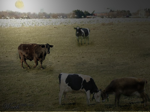 Photoshop Design by Harmony27 for DesignCrowd (Community Contests) | Design #8976115