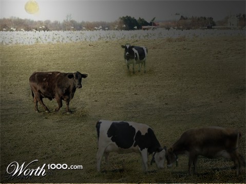 Photoshop Design by Harmony27