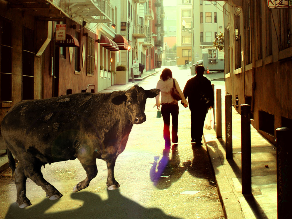 Photoshop Design by switchstance for DesignCrowd (Community Contests) | Design #8976106