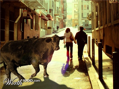 Photoshop Design by switchstance