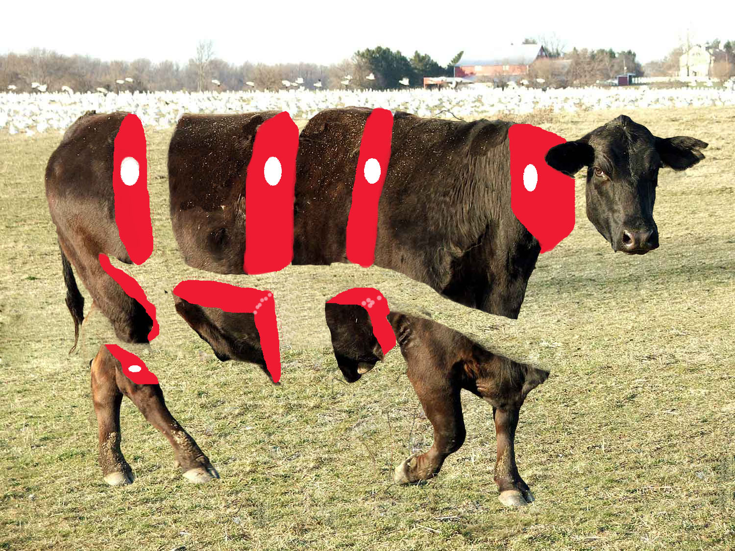 Design Photoshop par Cis4Cookie pour DesignCrowd (Community Contests) | Design #8976119