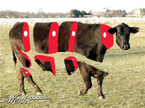 Photoshop Design by Cis4Cookie