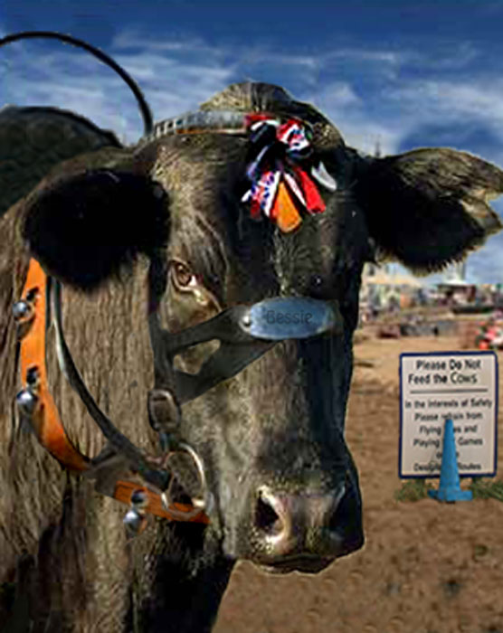 Photoshop Design by eleena07 for DesignCrowd (Community Contests) | Design #8976140