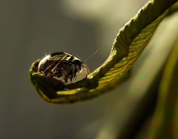 Design Photoshop par Safekeeper pour DesignCrowd (Community Contests) | Design #8976147