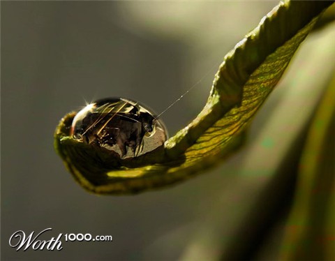 Photoshop Design by Safekeeper