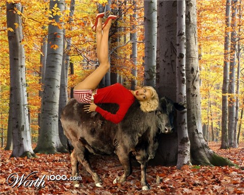 Photoshop Design by Kamushka