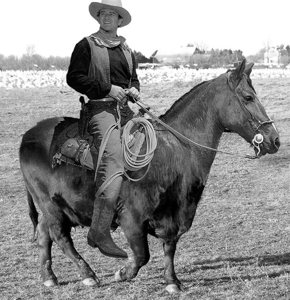 Photoshop-Design von mel120950 für DesignCrowd (Community Contests) | Design #8976153