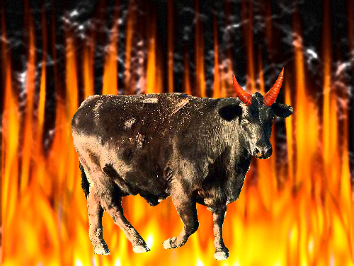 Photoshop Design by Demokrit for DesignCrowd (Community Contests) | Design #8976204