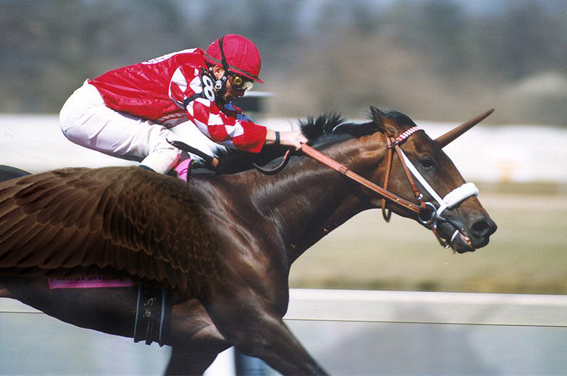 Design Photoshop par patrickgmarini pour DesignCrowd (Community Contests) | Design #8974737