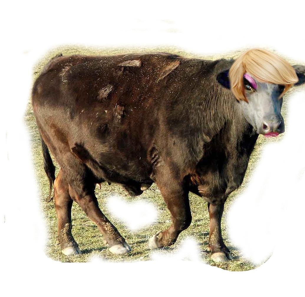 Photoshop Design by Alexisbrujo for DesignCrowd (Community Contests) | Design #8976199