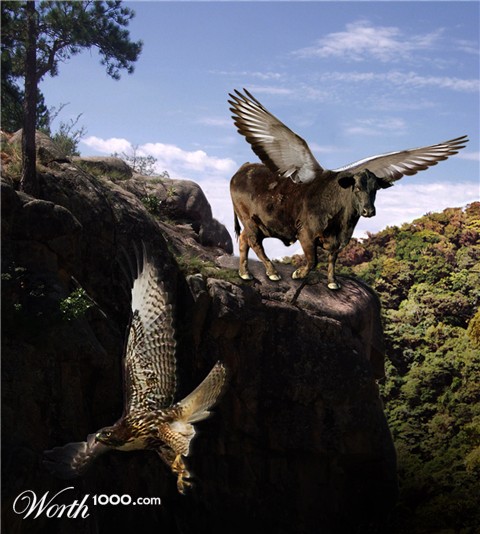 Photoshop Design by savagejon123