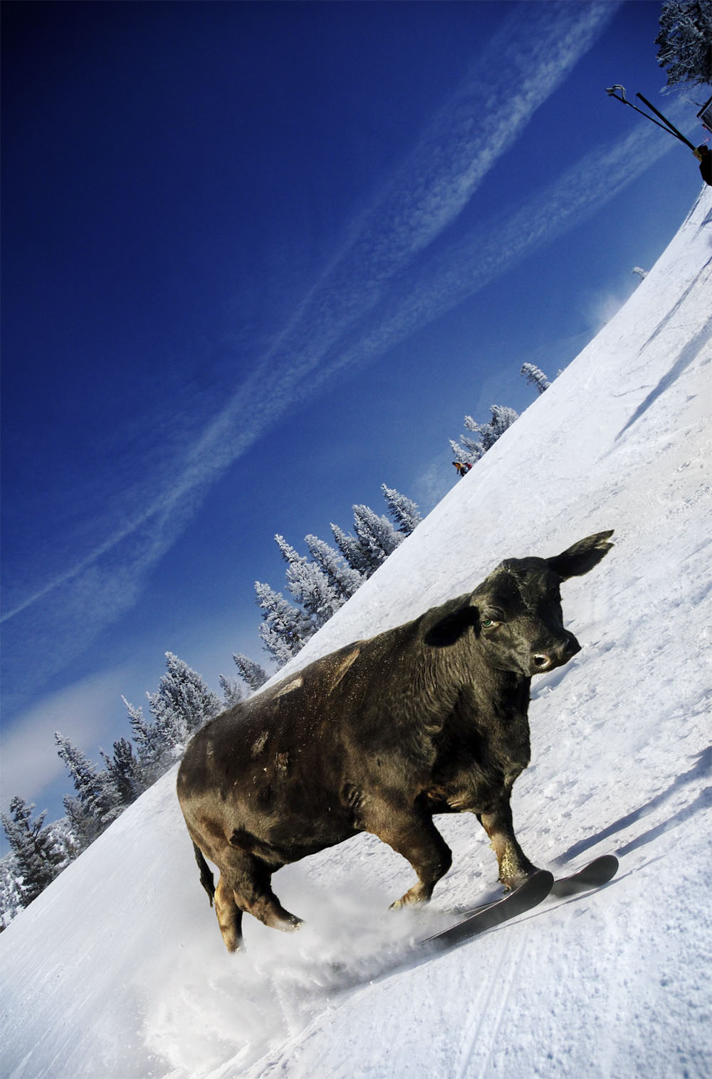 Photoshop Design by paddyf123 for DesignCrowd (Community Contests) | Design #8976214