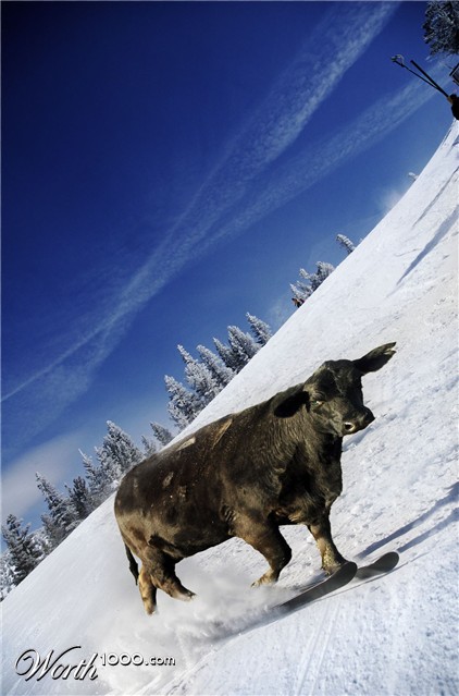 Photoshop Design by paddyf123