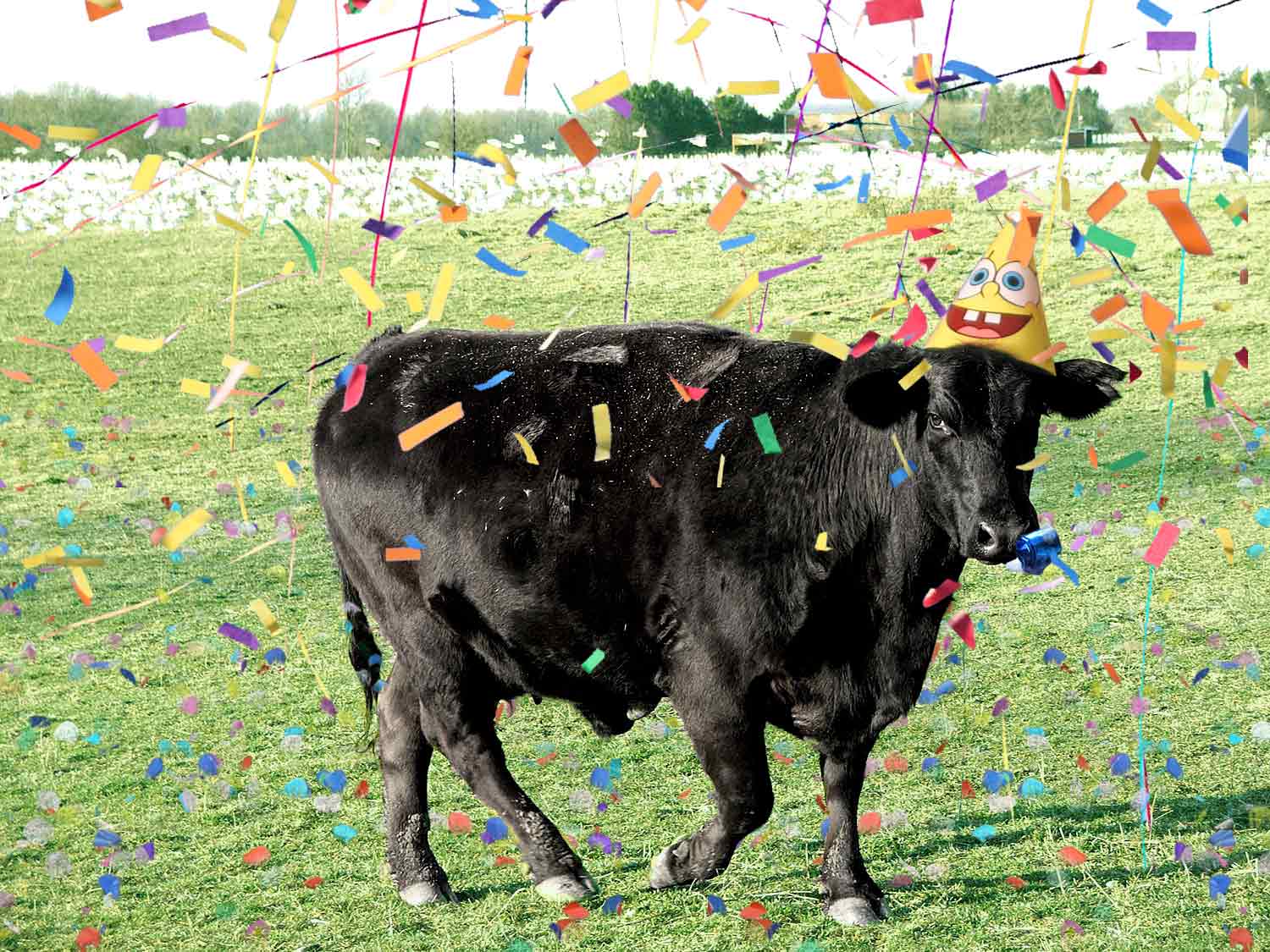 Photoshop Design by ErenaW for DesignCrowd (Community Contests) | Design #8976240