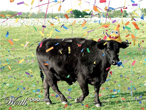 Photoshop Design by ErenaW