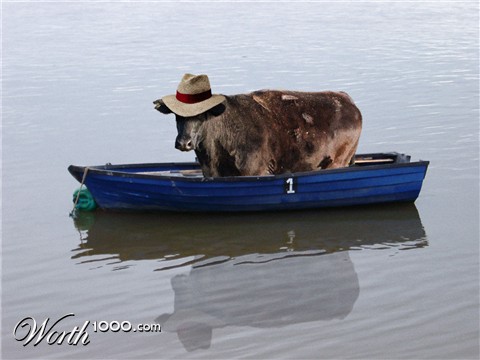 Photoshop Design by djdoubt03