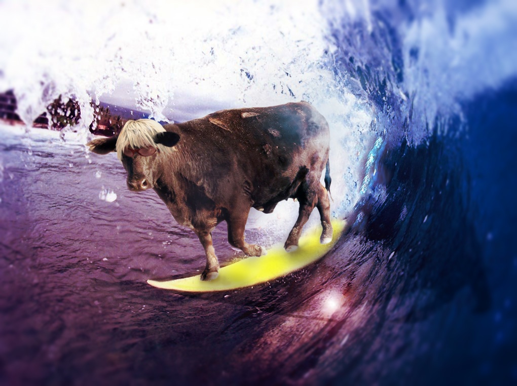 Diseño de Photoshop por catfish08 para DesignCrowd (Community Contests) | Diseño #8976249