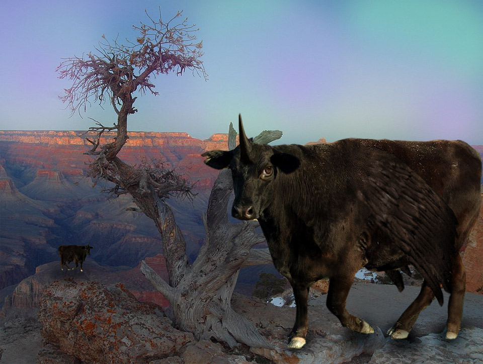 Design Photoshop par PissMyren pour DesignCrowd (Community Contests) | Design #8976324