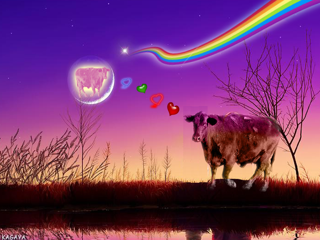 Photoshop Design by octopolus for DesignCrowd (Community Contests) | Design #8976376