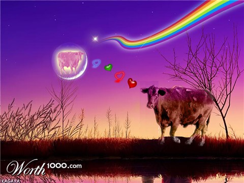 Photoshop Design by octopolus