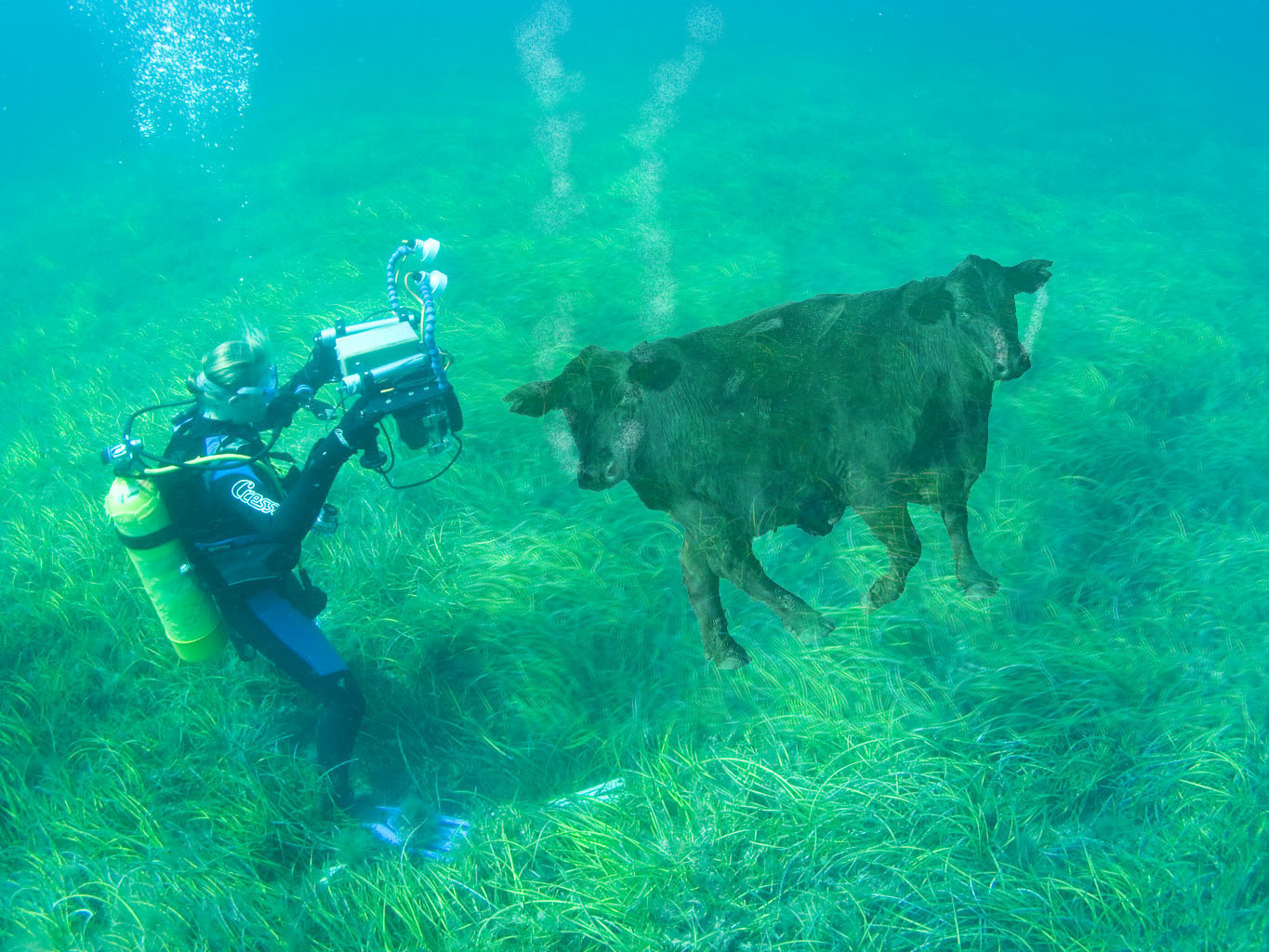 Photoshop Design by electrickb for DesignCrowd (Community Contests) | Design #8976417