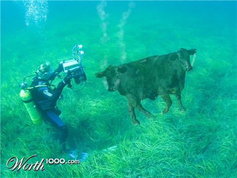 Photoshop Design by electrickb