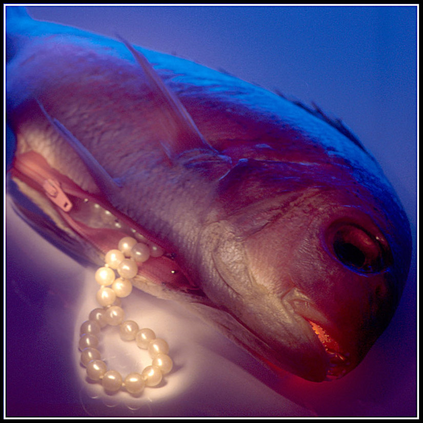 Photography by Katyharrison for DesignCrowd (Community Contests) | Design #8973516