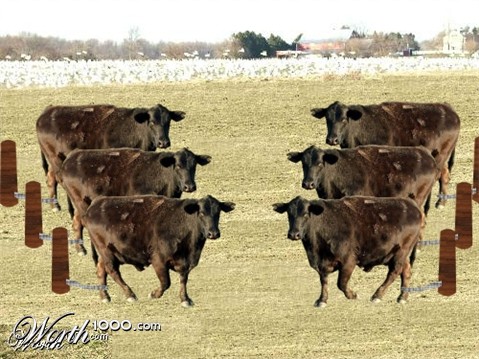 Photoshop Design by Valkrie1496