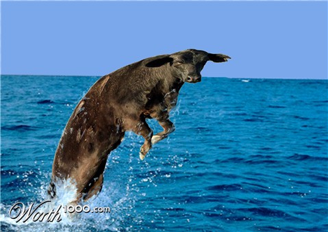 Photoshop Design by Schnullifutzi