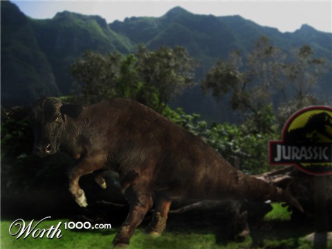 Photoshop Design by NthN