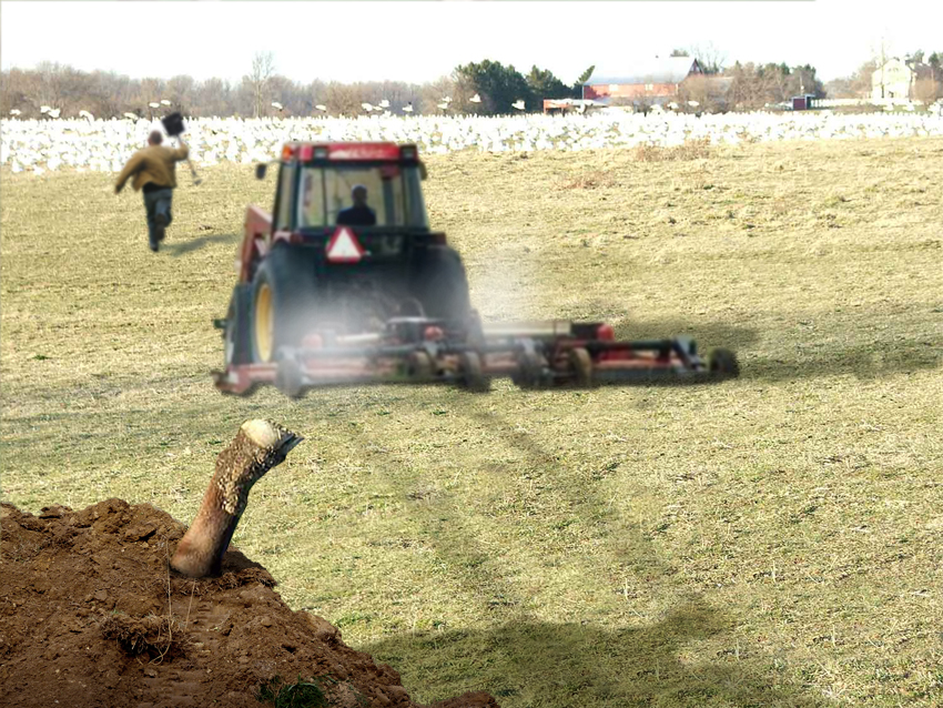 Design Photoshop par patrickgmarini pour DesignCrowd (Community Contests) | Design #8976310