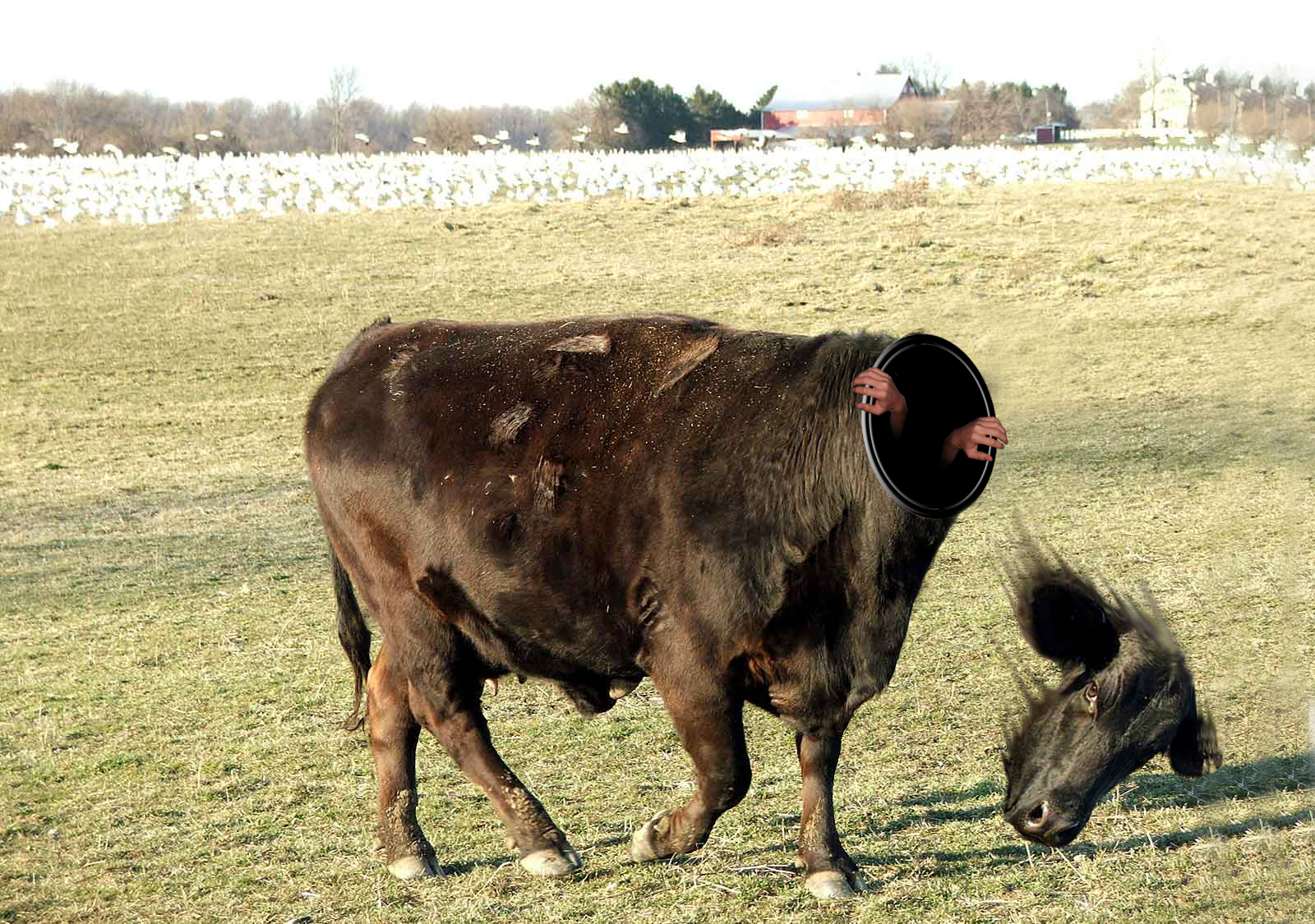 Photoshop-Design von ethanlol für DesignCrowd (Community Contests) | Design #8976420