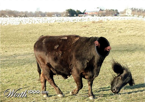 Photoshop Design by ethanlol