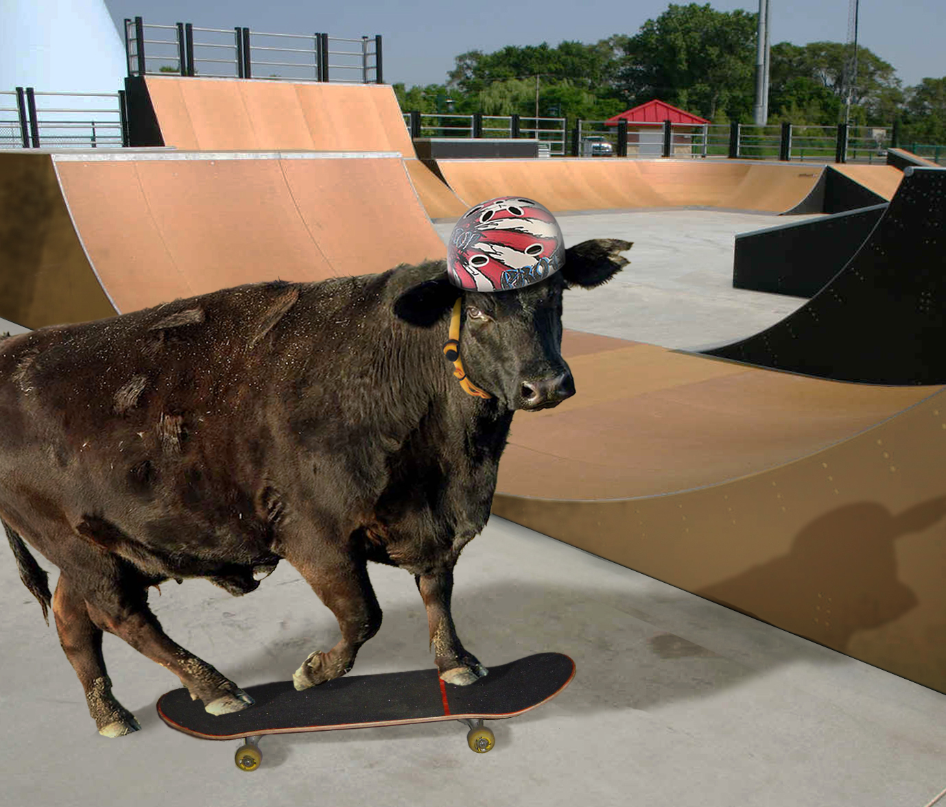 Photoshop Design by Mrjapes for DesignCrowd (Community Contests) | Design #8976496