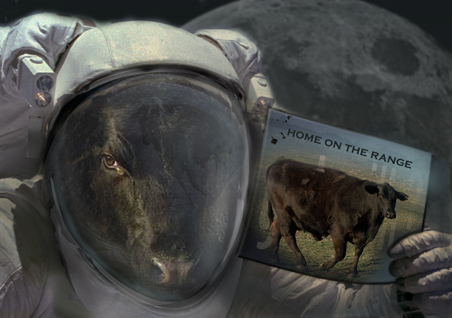 Diseño de Photoshop por Ram1012 para DesignCrowd (Community Contests) | Diseño #8976466