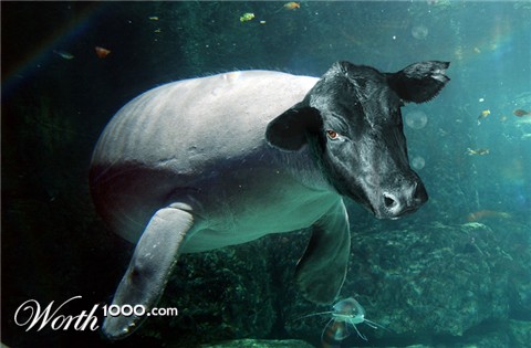 Photoshop Design by ConnieB