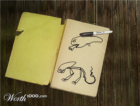 Photoshop Design by PABLOKOPAK