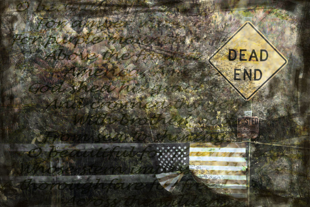 Photography by dollyllama for DesignCrowd (Community Contests) | Design #8971731