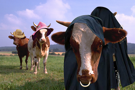 Diseño de Photoshop por designstudiogirl para DesignCrowd (Community Contests) | Diseño #8973754