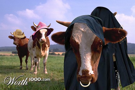 Photoshop Design by designstudiogirl