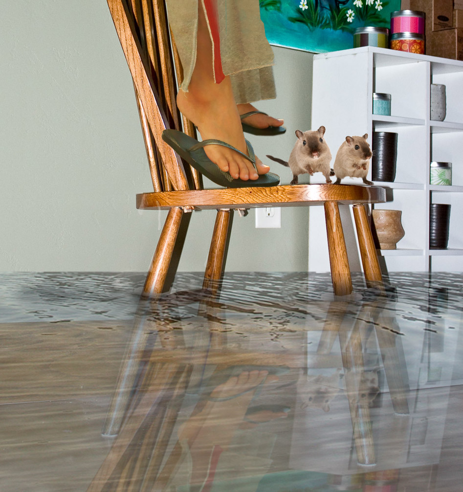 Photoshop Design by Sankrah for DesignCrowd (Community Contests) | Design #8973898