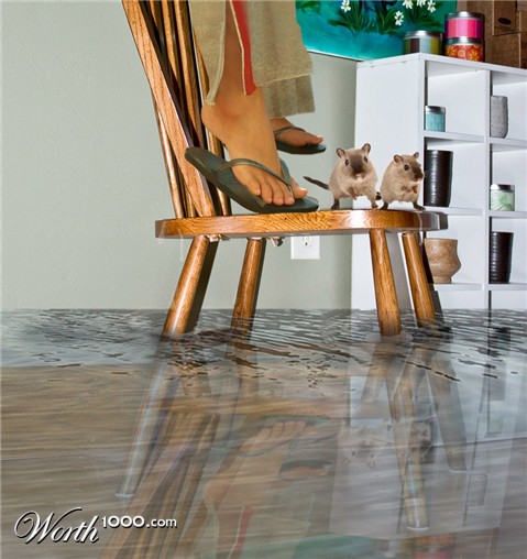 Photoshop Design by Sankrah