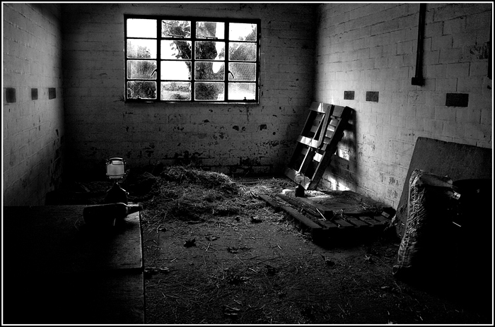 Photography by savagebrut for DesignCrowd (Community Contests) | Design #8975706