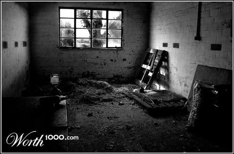 Photography by savagebrut