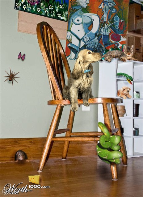 Photoshop Design by Harmony27