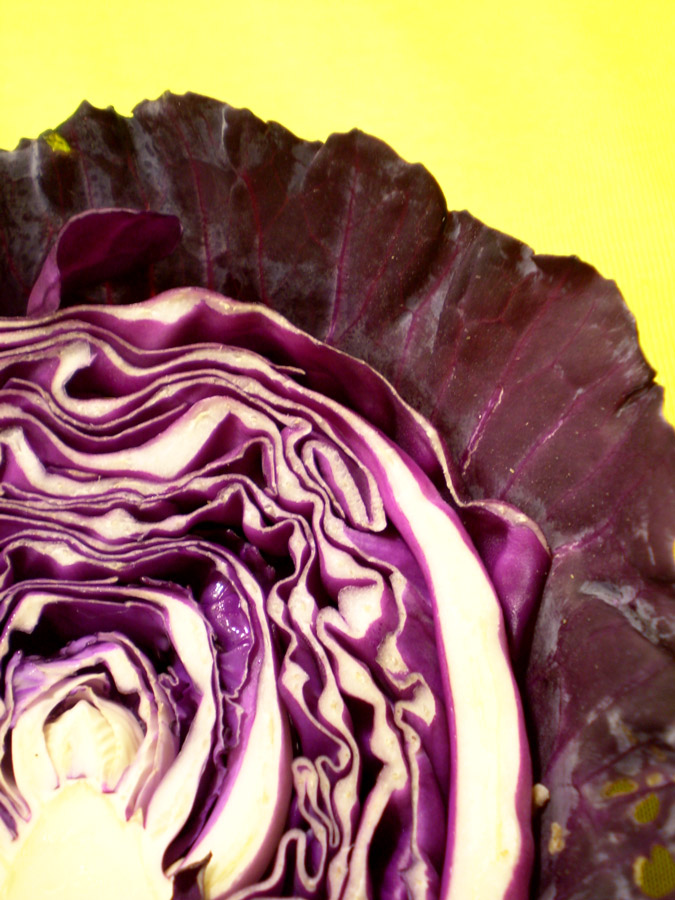 Fotografía por Succexxyy para DesignCrowd (Community Contests) | Diseño #8972917